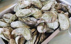 亚洲国产成人A片乱码